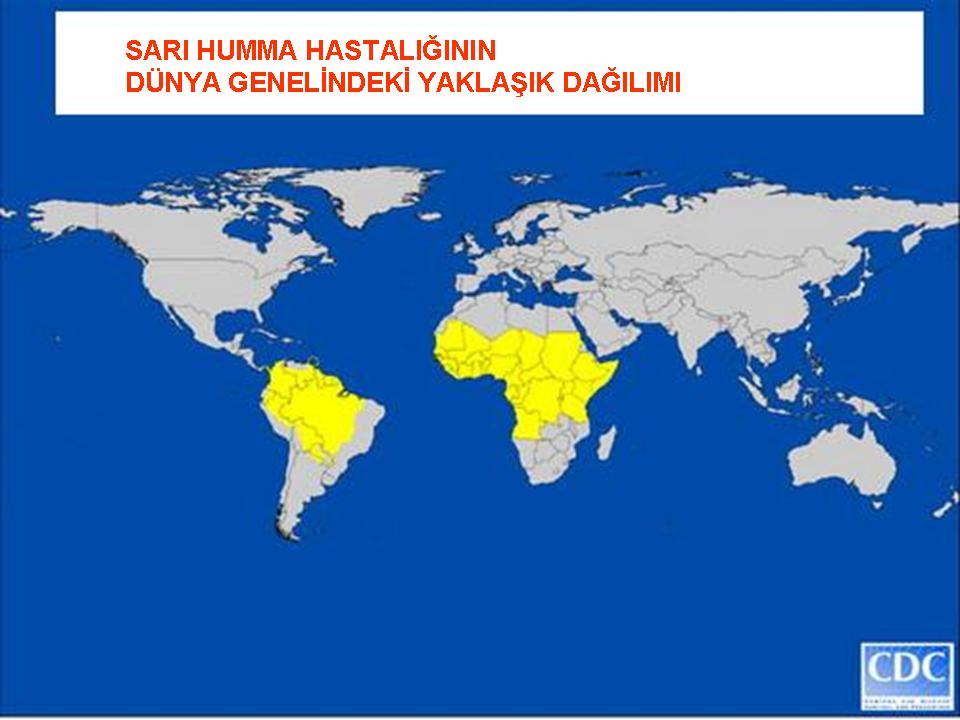 Seyahat A��lar�